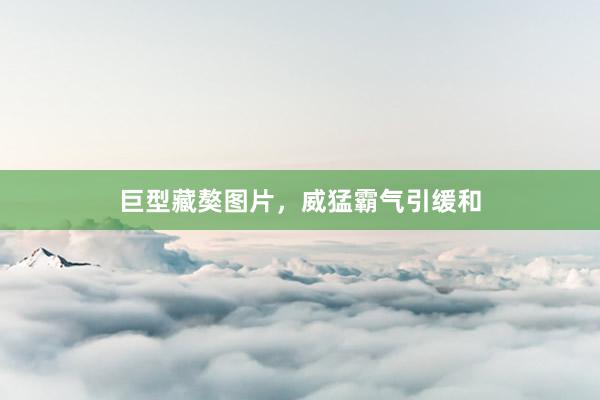 巨型藏獒图片，威猛霸气引缓和