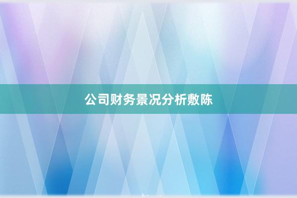 公司财务景况分析敷陈